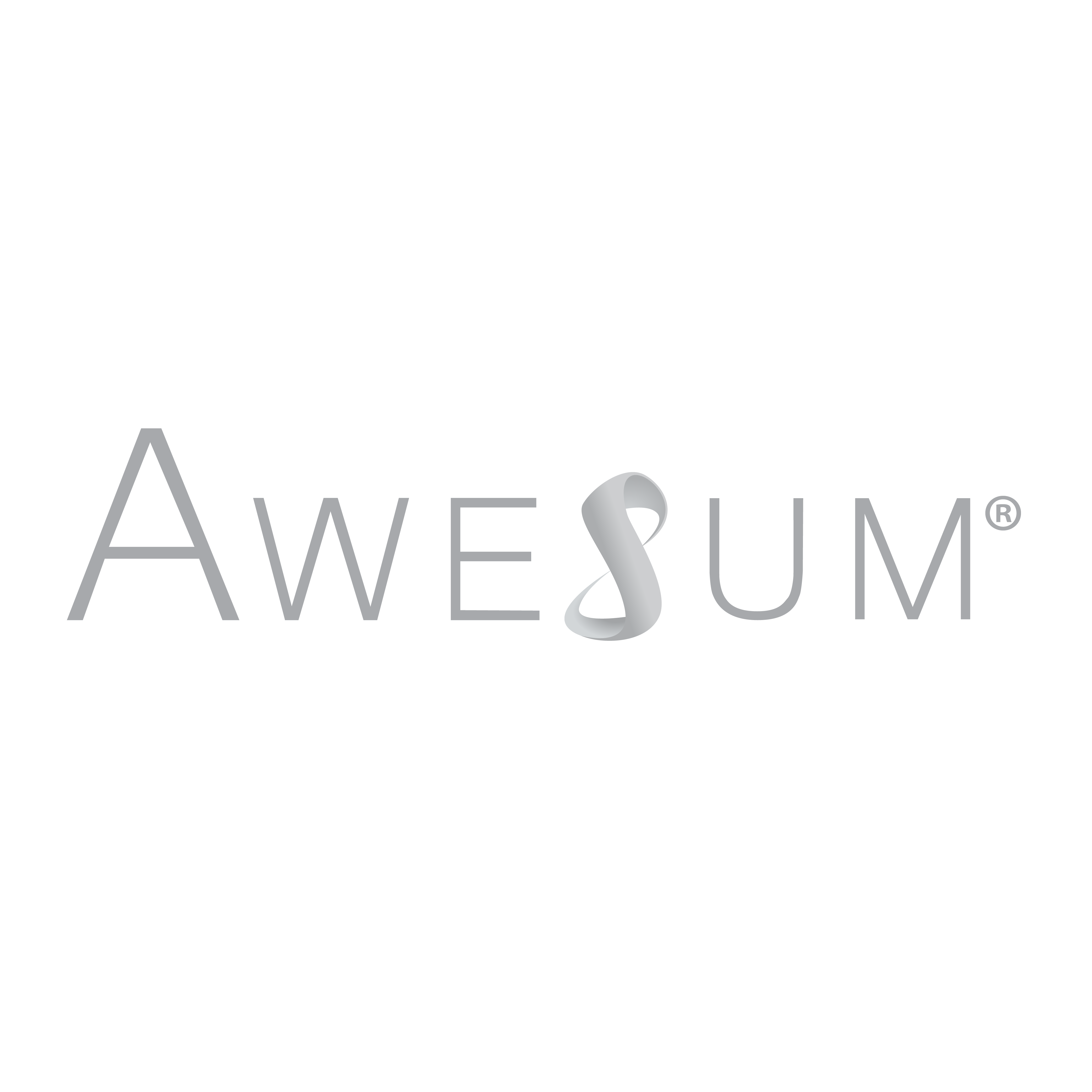 2025 AWESUM Logo Variations_AWESUM Logo - Gray - No Swoosh (1)